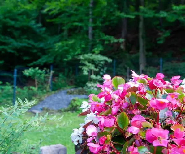 Monti بيت ضيافة